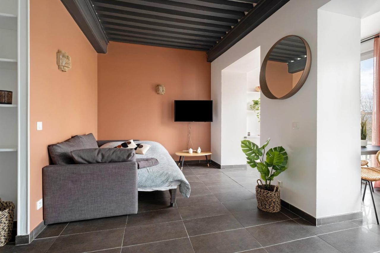 Lyon Cite- Appartement Vue Rhone Terrasse-Caluire Экстерьер фото